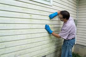 Best Siding Removal and Disposal  in Corbin, KY